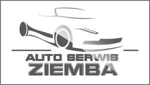 Auto company logo